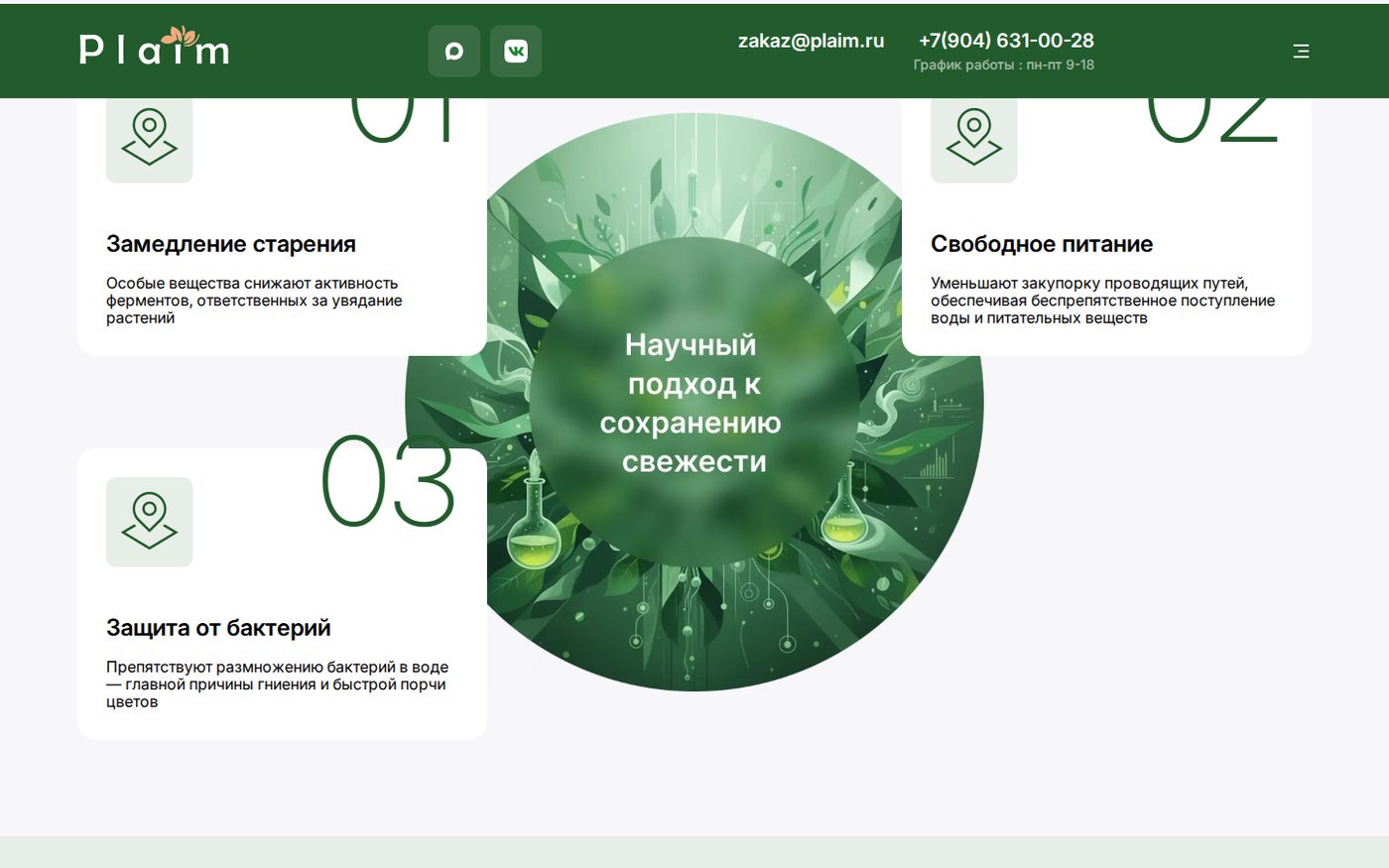 наш разработанный сайт
