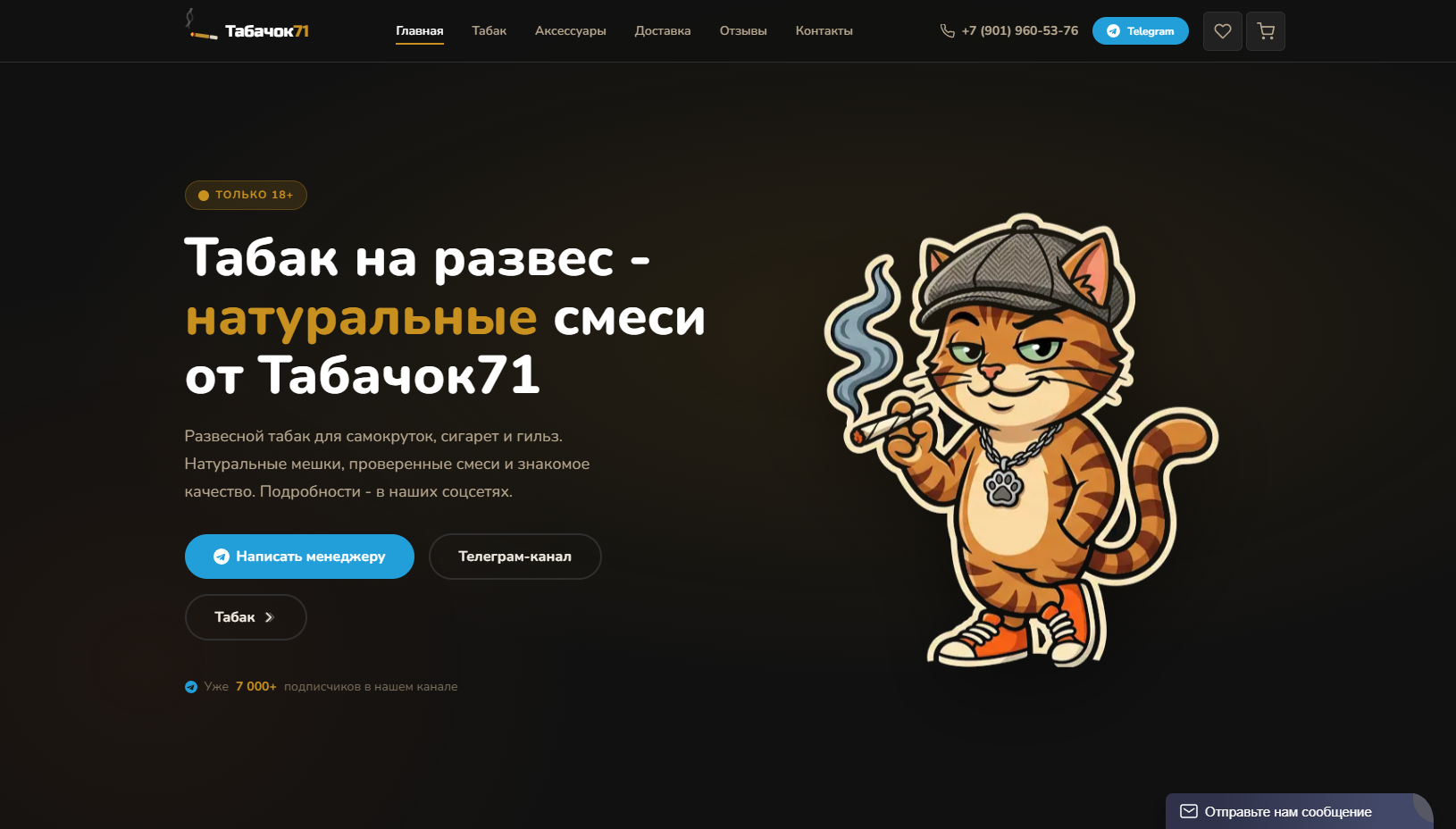 пример 1